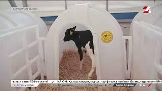 Казахстан